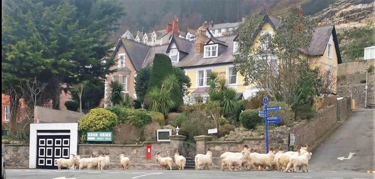 Bron Orme Private Hotel Llandudno Buitenkant foto